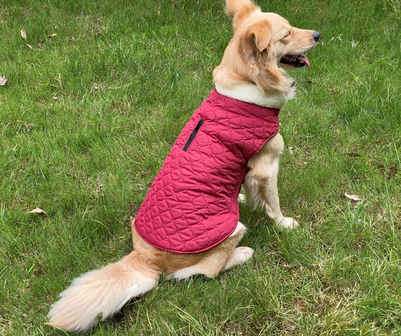 Pocket new pet clothes autumn and winter dog clothes vest cotton coat double sided wearable dog clothes coat clothing_voghion.com