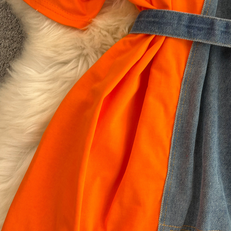 Taille Tailliert Rundhals Color Block Jeanshemd Chic Casual Mittellang_voghion.com