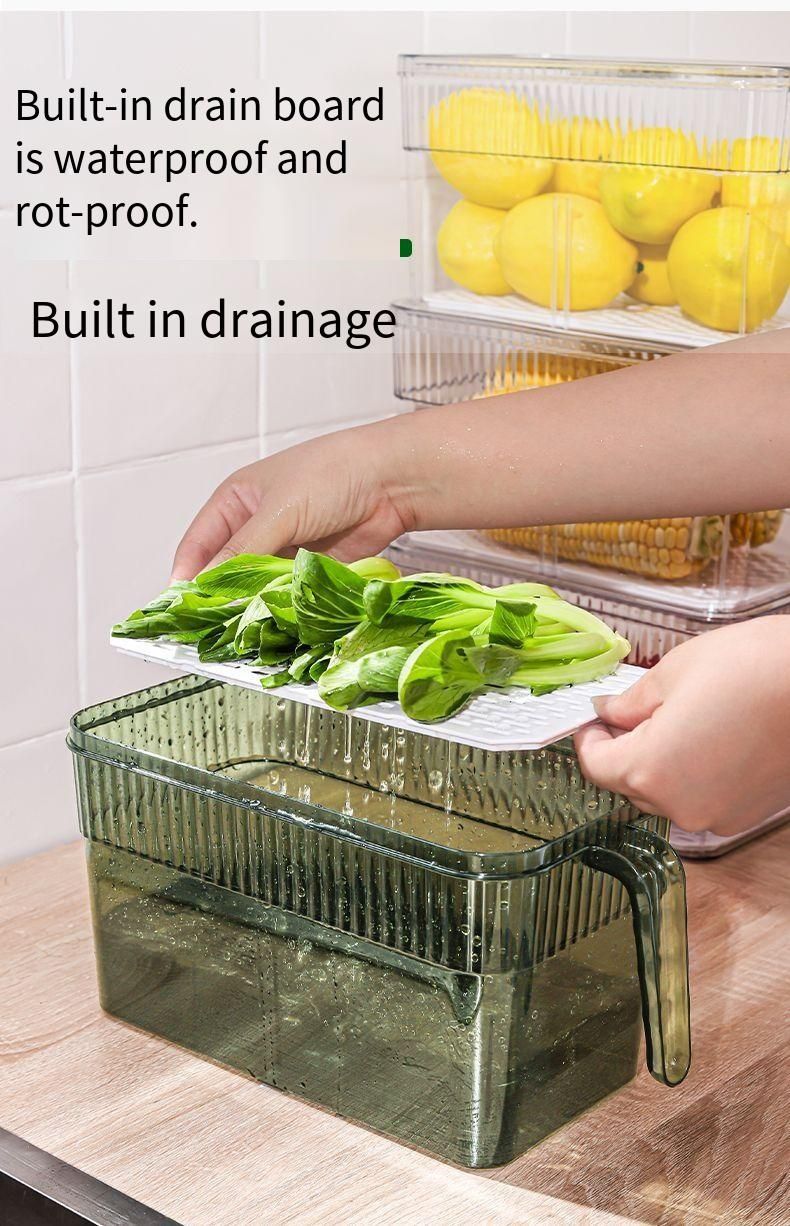 Fresh-Keeping Storage Kitchen Refrigerator Timer Fruit Bento Vegetable Organizer Refrigerated Frozen Sealed Draining Box_voghion.com