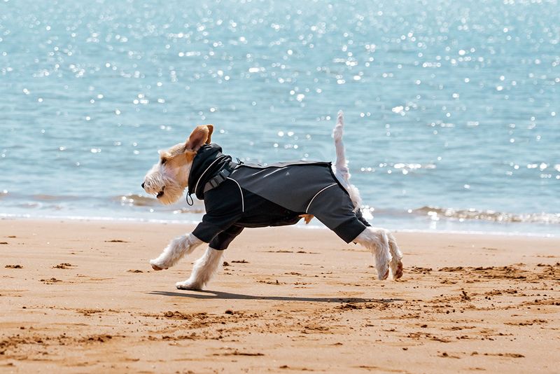 Dog Four-Legged Raincoat Waterproof Wear-Resistant Lightweight Jacket Pet-Specific Rainy Day Full Coverage Windproof Pet_voghion.com