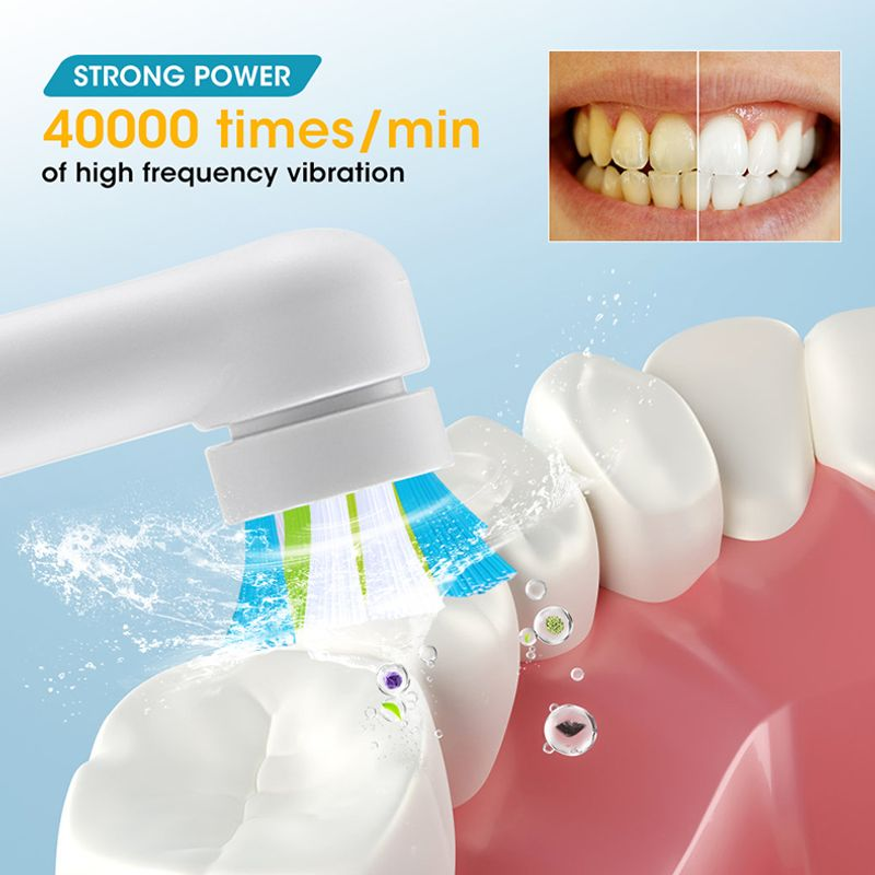Adult Rotating Electric Toothbrushes Tails Sonic Teeth Whitening Rechargeable 4 Colors Options Timer IPX7 Brush_voghion.com