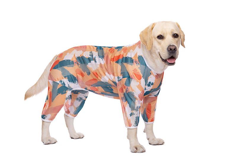 Spring and Autumn Summer Mesh Print Labrador Dog Golden Retriever Medium and Large Dog Four-Legged Cross-Border Pet Dog Clothes_voghion.com