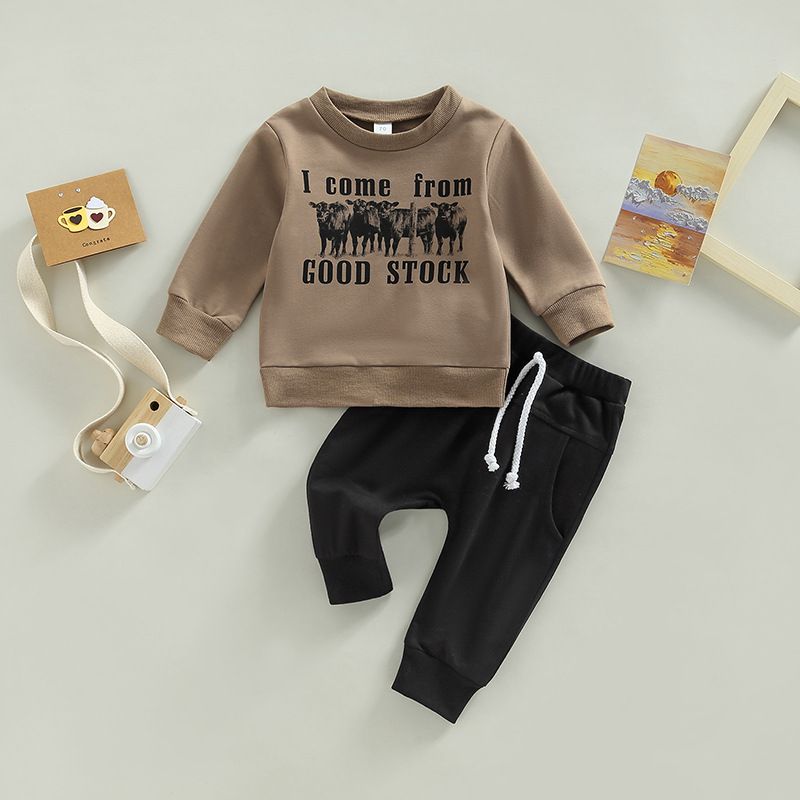 Trendy brand boys' autumn and winter 2024 new children's clothing two-piece round neck hoodie casual pants handsome set_voghion.com