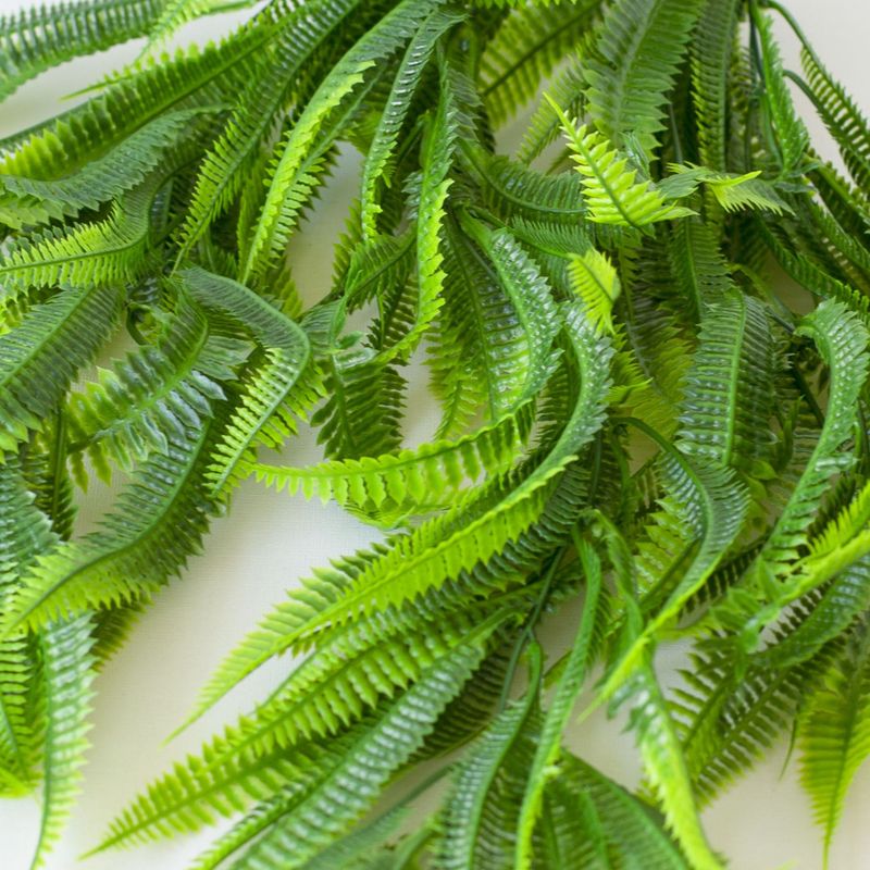 Tenture murale en gazon artificiel 5 fourches cheveux pointus herbe fougère tenture murale plante intérieure et extérieure décoration murale matériel vignes d'herbe en plastique_voghion.com