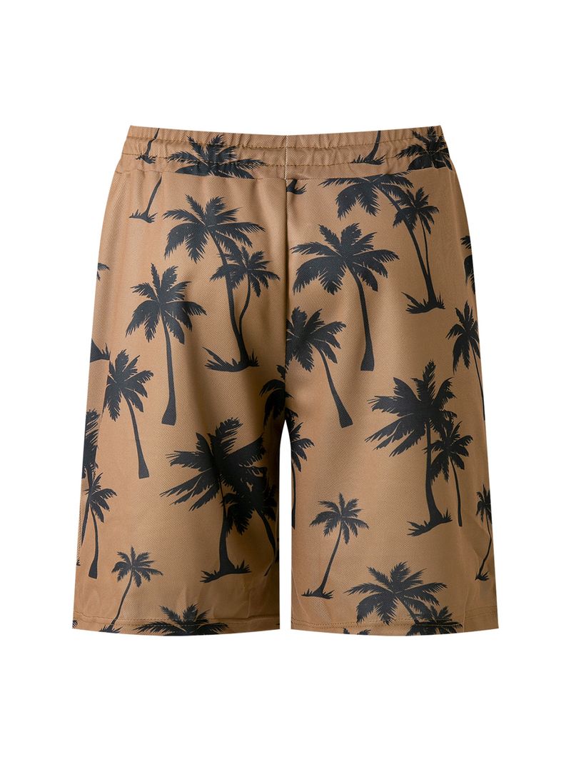 2-piece Men's Summer Holiday Style Outfit Set Short Sleeve Zip Golf Shirt & Waist Drawstring Shorts With Pockets Beach Resorts_voghion.com
