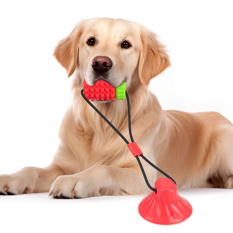 New Dog Treat Dispensing Durable Rubber Chew TPR Teeth Cleaning Stick With Suction Cup Stress Relief Toy_voghion.com