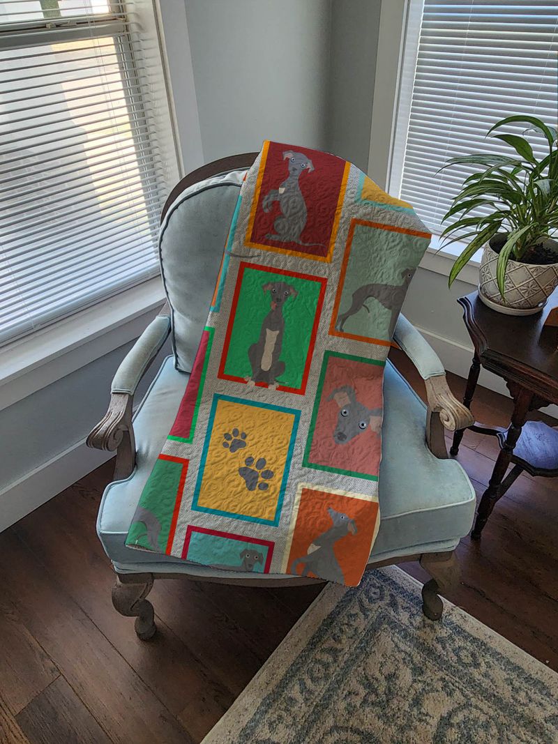 Lots of Italian Greyhound Quilted Blanket 50x60 Artwork Pattern Quilted Throw Blanket for Bed, Couch, Sofa, Soft and Lightweight_voghion.com