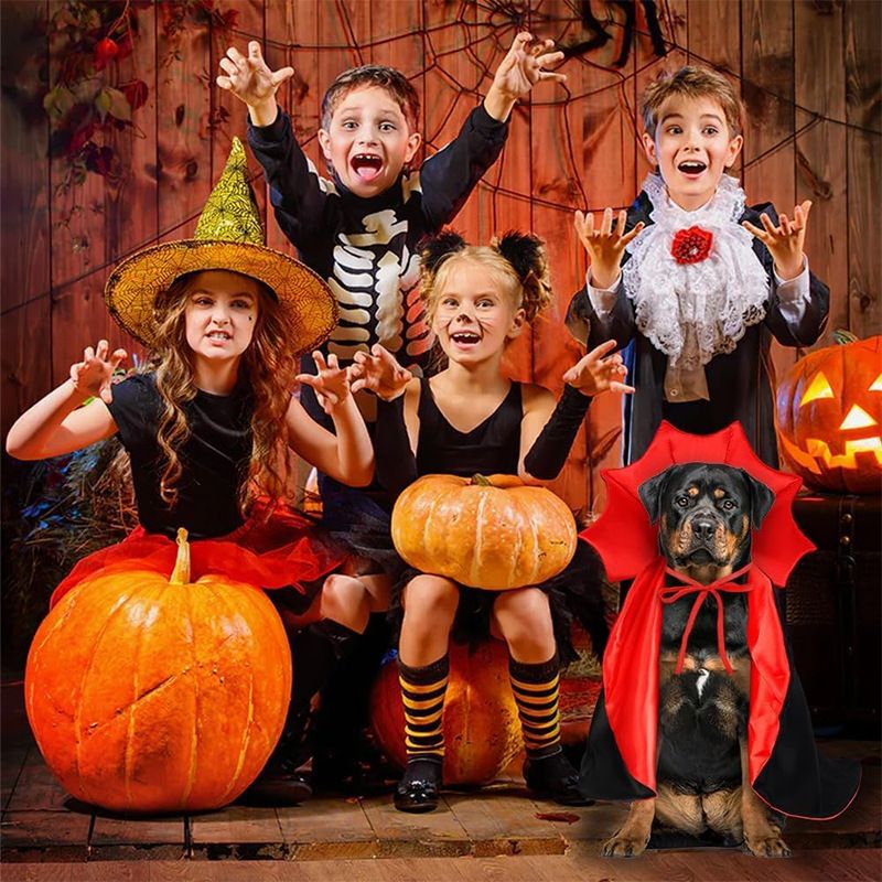 Halloween Vampire Costume Atmosphere Magic Witch Cloak Funny Cat Dog Cape_voghion.com
