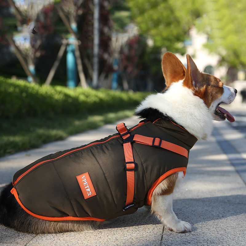 Waterdichte huisdierkleding, middellange lengte, warme zachte donsjas, Puy Chihuahua, Poedel, Shih Tzu, kostuum, outfits voor de PawParty Store_voghion.com