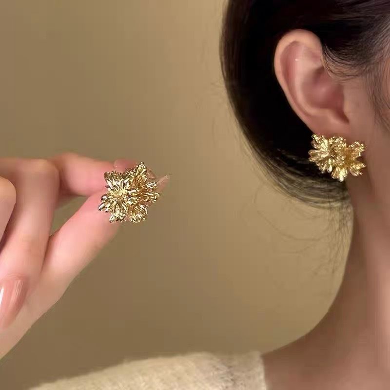 ins Style Simple Silver Needle Versatile Earrings Light Luxury Commuter Metal Circle Earrings Women's High-end Earrings_voghion.com