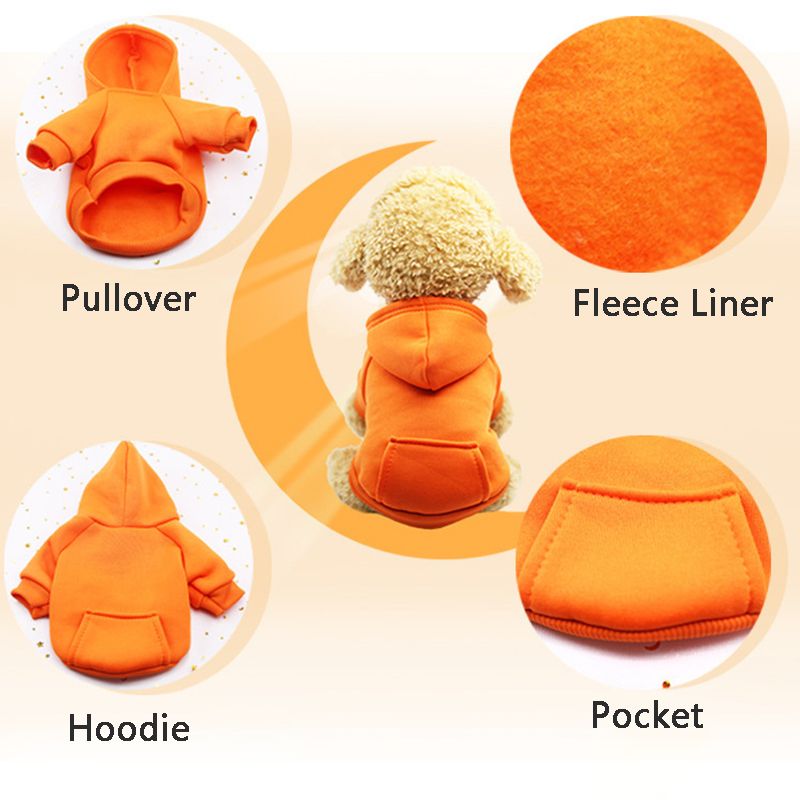 Winter Insulated Hoodie CDDMPET For Dogs By PawParty Store_voghion.com