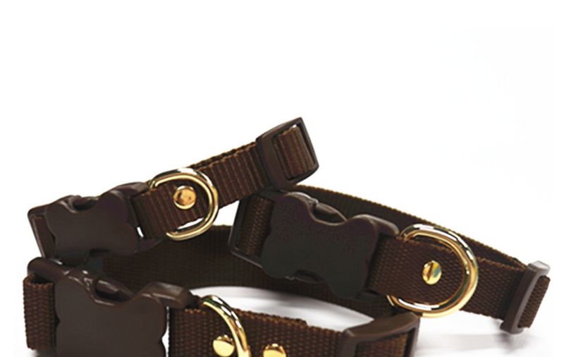 2022 New Solid Color Retractable Dog Running Pet Leash_voghion.com