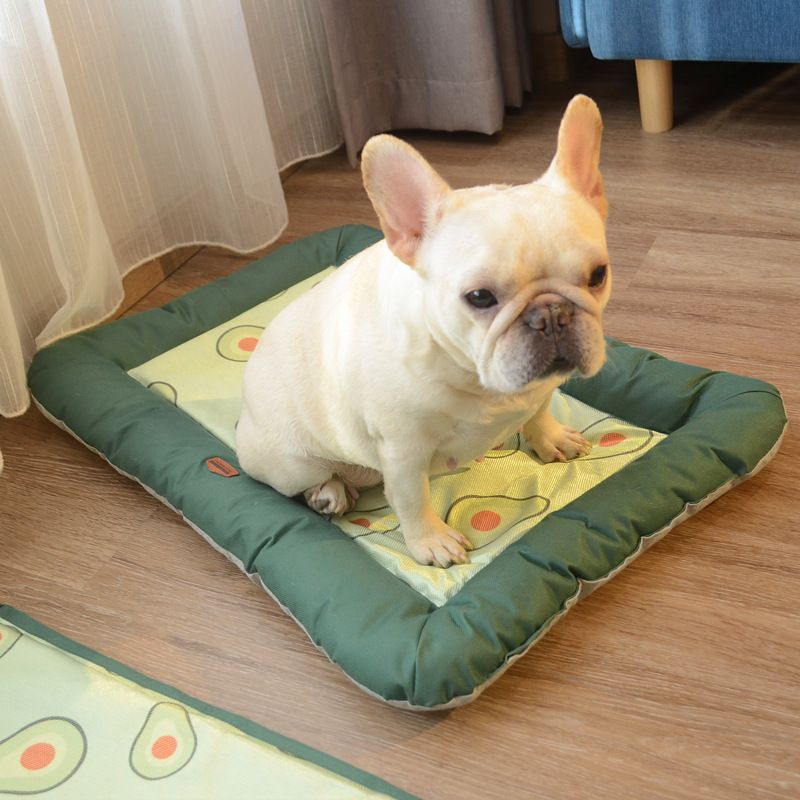 Lit pour chat d'été et respirant, fournitures, tapis rafraîchissant pour animaux de compagnie, lit pour chien_voghion.com
