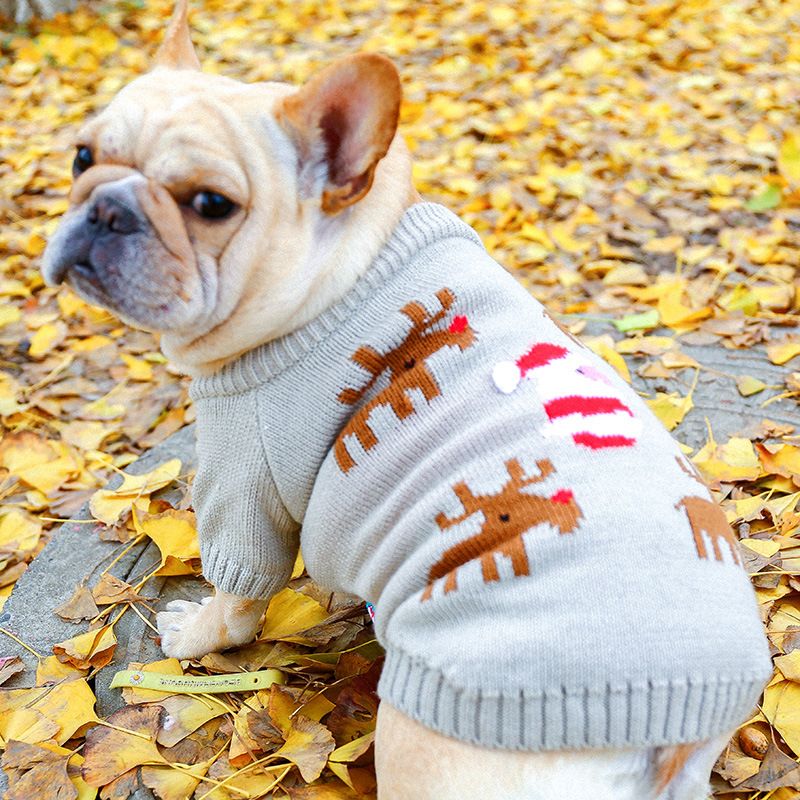 Pet Circle Katzenkleidung, Rentierpullover für dicke Hunde, französische Bulldogge_voghion.com