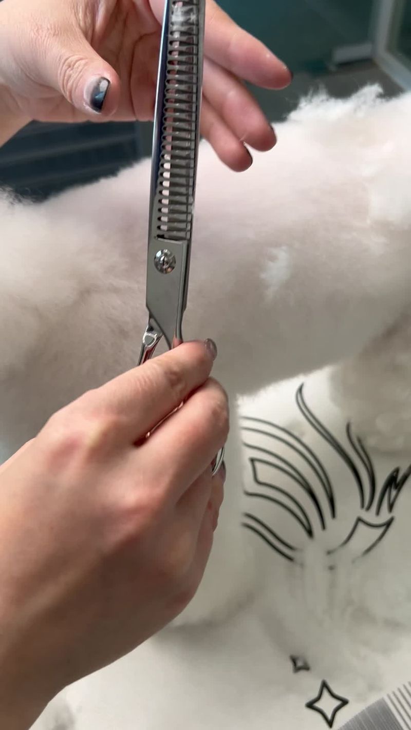 Fenice Japan Filigree Scissors For Dogs 6.75/7 Inches By PawParty Store_voghion.com