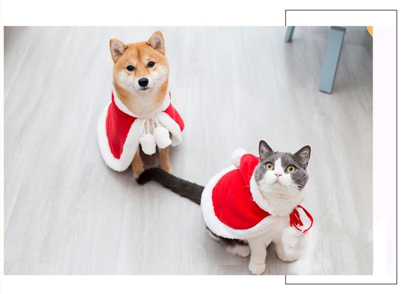 Cat Christmas Dress Little Red Riding Hood Cloak Cloak Pet baby cat Christmas New Year cloak puppy dog hat_voghion.com