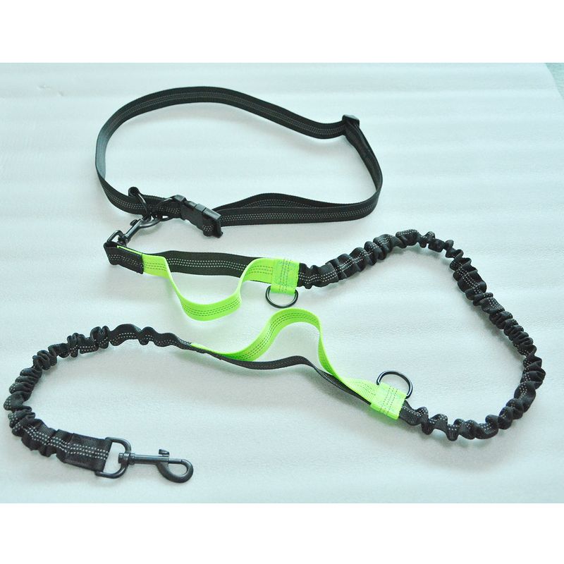 Double Elastic Reflective Running Portable Retractable Dog Chain Leash Pet Supplies_voghion.com
