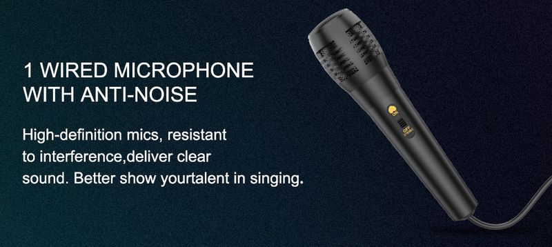 Bezprzewodowy głośnik karaoke Bluetooth ZQS4293 nadaje się do występów na świeżym powietrzu_voghion.com
