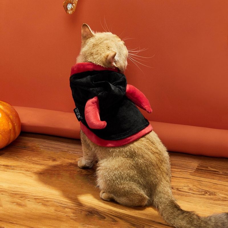 Kleine hond kat Halloween persoonlijkheid grappig kostuum mantel huisdier demon transformatie outfit_voghion.com