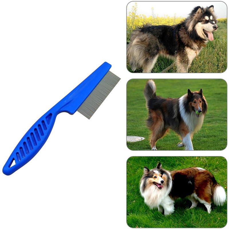 Pet Comb RPXBKARHG By PawParty Store_voghion.com