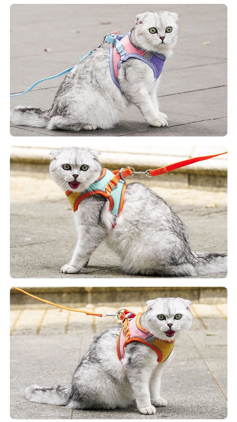 Cat Chest Strap Vest Type Reflective Anti-break-free Cat Rope Mesh Breathable Pet Supplies_voghion.com