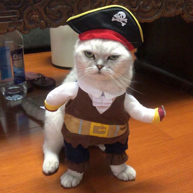 Spring And Autumn Pet Clothing Cute Funny Quirky Costume Hilarious Cat Dog Clothes Standing Transformation Outfit 3D_voghion.com