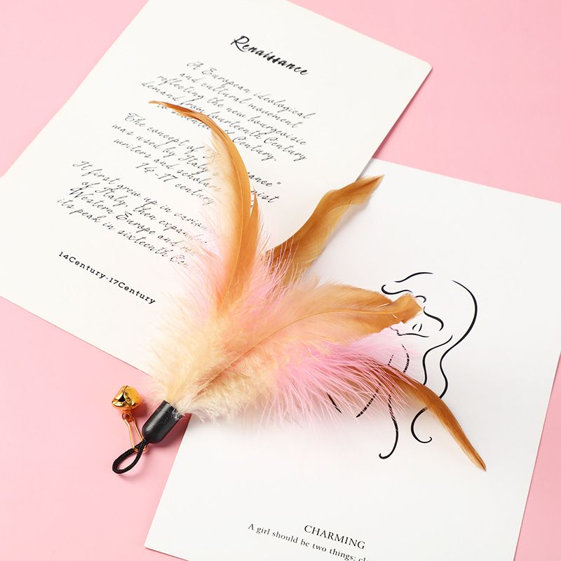 Pet Supplies Feather Bell Replacement Head Teasing Elastic Wire Cat Teaser Wand Interactive Toy_voghion.com