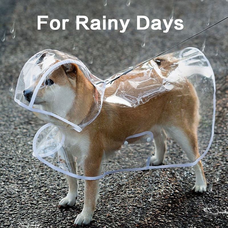 Golden Retriever Corgi Pomerania Pet Clothes Labrador Rain Poncho Cane Impermeabile Trasparente EVA_voghion.com