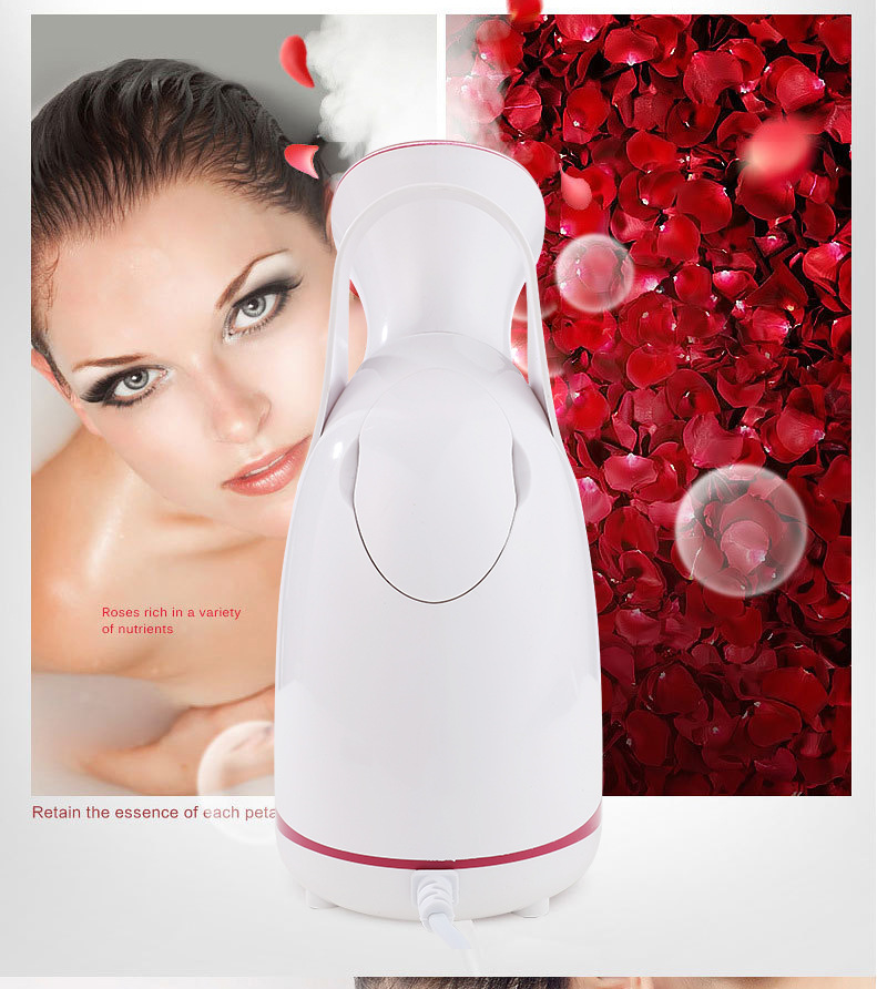 gezicht stomen instrument hydraterende instrument schoonheid instrument huishoudelijke hete stoom nano spray heat spray fruit en groente machine_voghion.com
