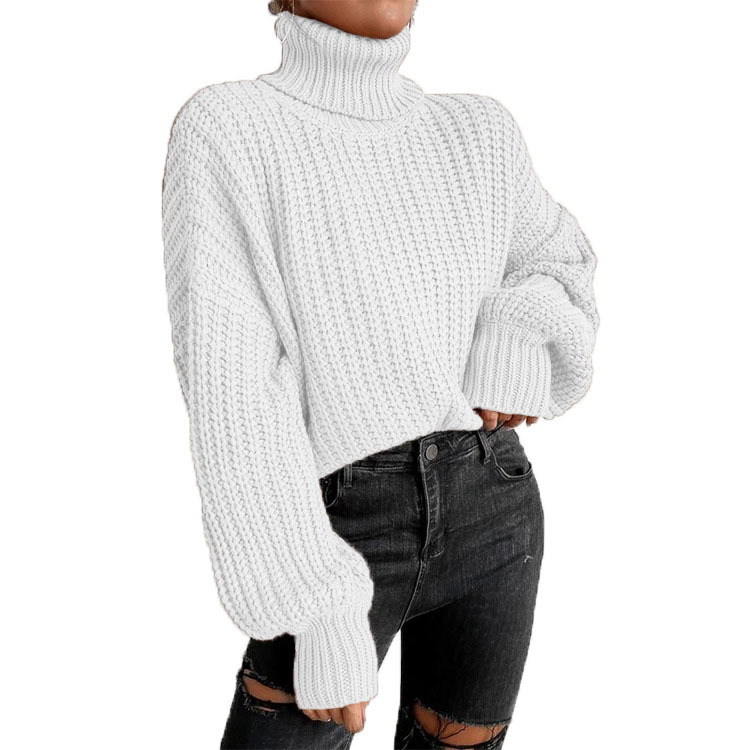 Women's fashion drop shoulder long sleeve knit loose turtleneck sweater_voghion.com