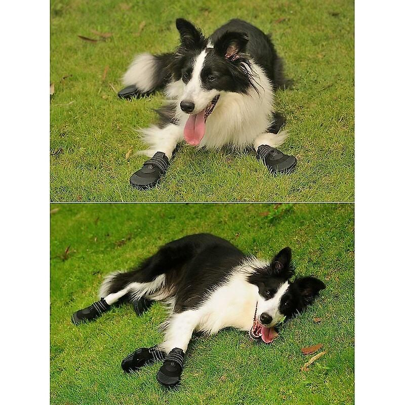 Stivali protettivi, 4 pezzi scarpe per cani suola morbida antiscivolo per cani di piccola e media taglia (3)_voghion.com