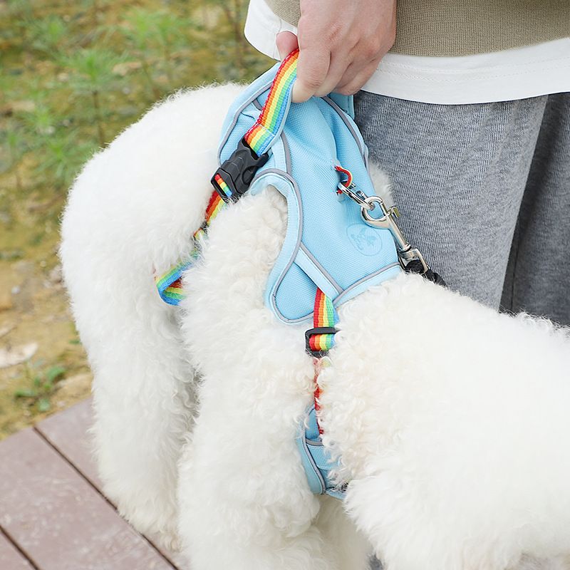 Coleira anti-fuga para cachorro, coleira de pelúcia para gato, colete para passear com cachorro, estilo bichon frisé, arnês para áreas externas_voghion.com