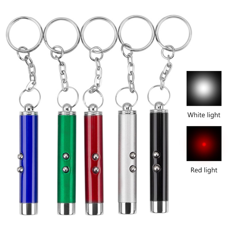 5Pcs 1mW Mini LED Red Pointer Light And White Flashlight Beam Light Pointer Pen For Multi Work Teaching Training Tool NO Battery_voghion.com