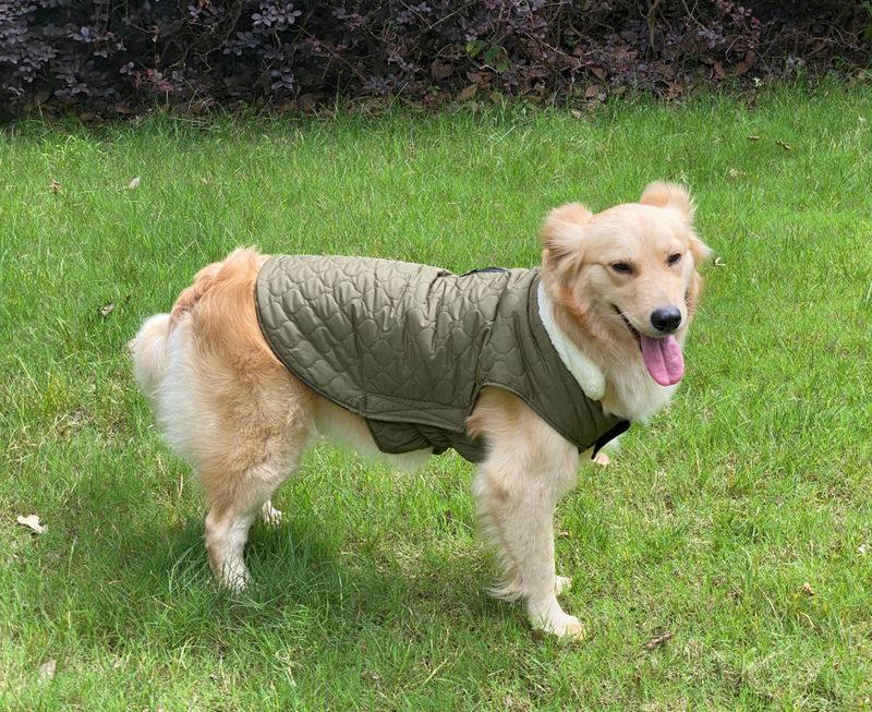 Pocket new pet clothes autumn and winter dog clothes vest cotton coat double sided wearable dog clothes coat clothing_voghion.com