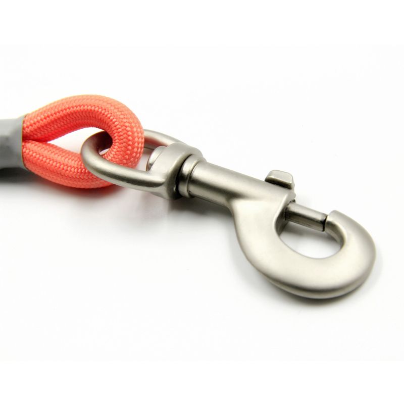 Catena per animali domestici American ZOOLAND, guinzaglio per cani da passeggio, collare anti-morso, taglia piccola, media e grande_voghion.com