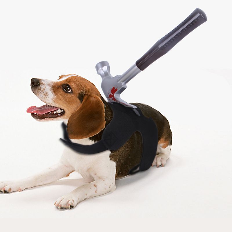 Decorazione per animali domestici di Halloween, vestiti creativi e divertenti, costume da trasformazione per gatti e cani di piccola taglia_voghion.com