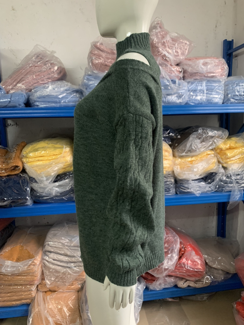 Modischer, schulterfreier Rollkragenpullover für Damen_voghion.com