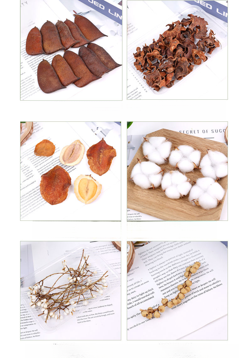 Natural Plant Materials Decorative Ornaments Wreath Handmade Hanging Decor Dried Fruit Combination Set DIY_voghion.com