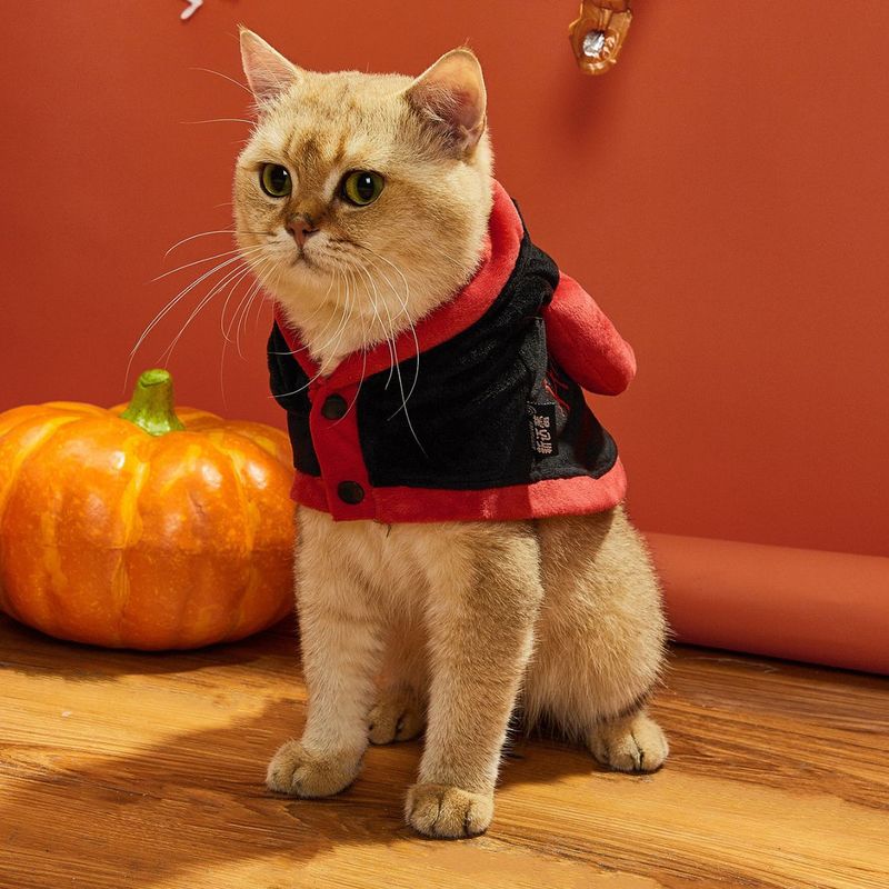 Kleine hond kat Halloween persoonlijkheid grappig kostuum mantel huisdier demon transformatie outfit_voghion.com