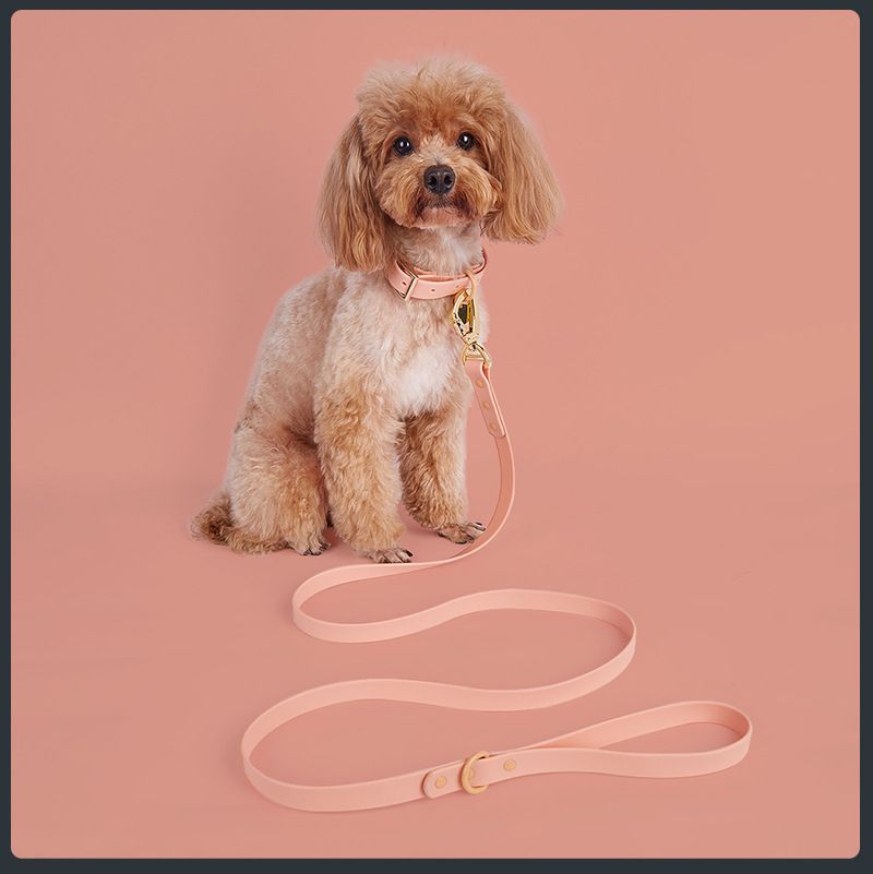 Vanntett PVC-kjæledyrsett for små, mellomstore og store hunder med båndhalsbånd_voghion.com