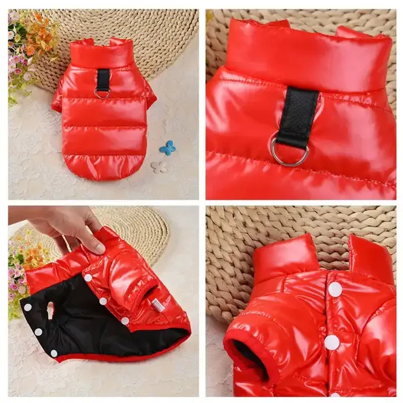 Winter Insulated Clothing Puppies, Bright Cotton Jacket Dogs With Fur, Waterproof Coat Pets, Small Dog Costume, By PawParty Store_voghion.com