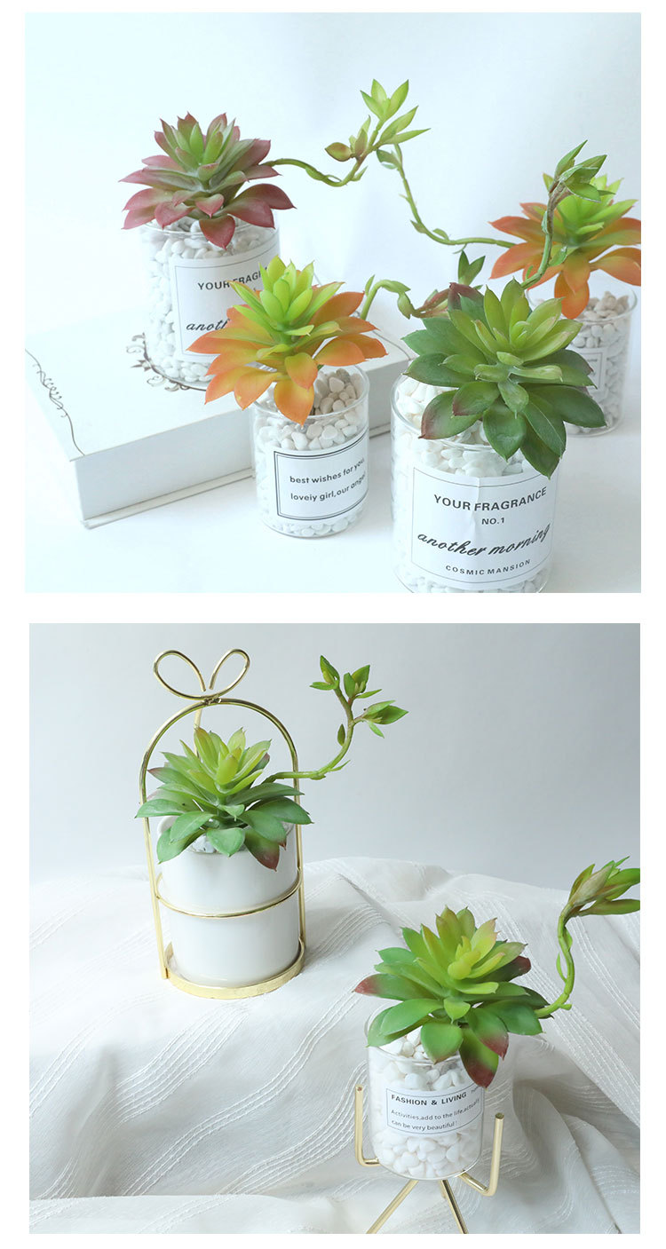 Fiore succulento Silk Night Lotus pianta artificiale fiore produttore decorazione casa pianta matrimonio parete fiore artificiale MW17694_voghion.com