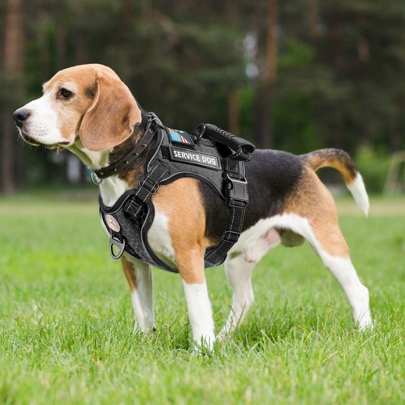 New Explosion-Proof Shock Absorption Night Vision Reflective Pet Chest Harness Vest-Style Leash_voghion.com