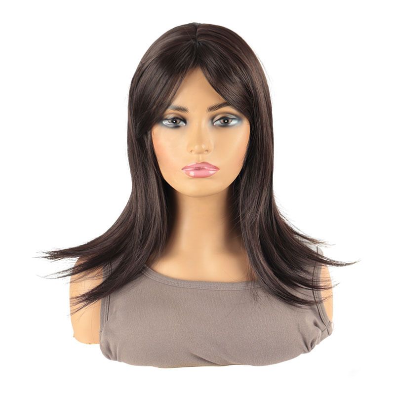 Perruques synthétiques à clipser pour femmes, cheveux longs et raides, frange brune, en fibre chimique de soie haute température_voghion.com