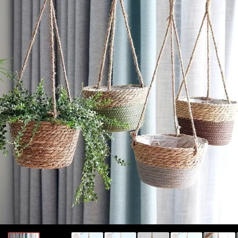Hanging Plants, Baskets, Hanging Pots_voghion.com