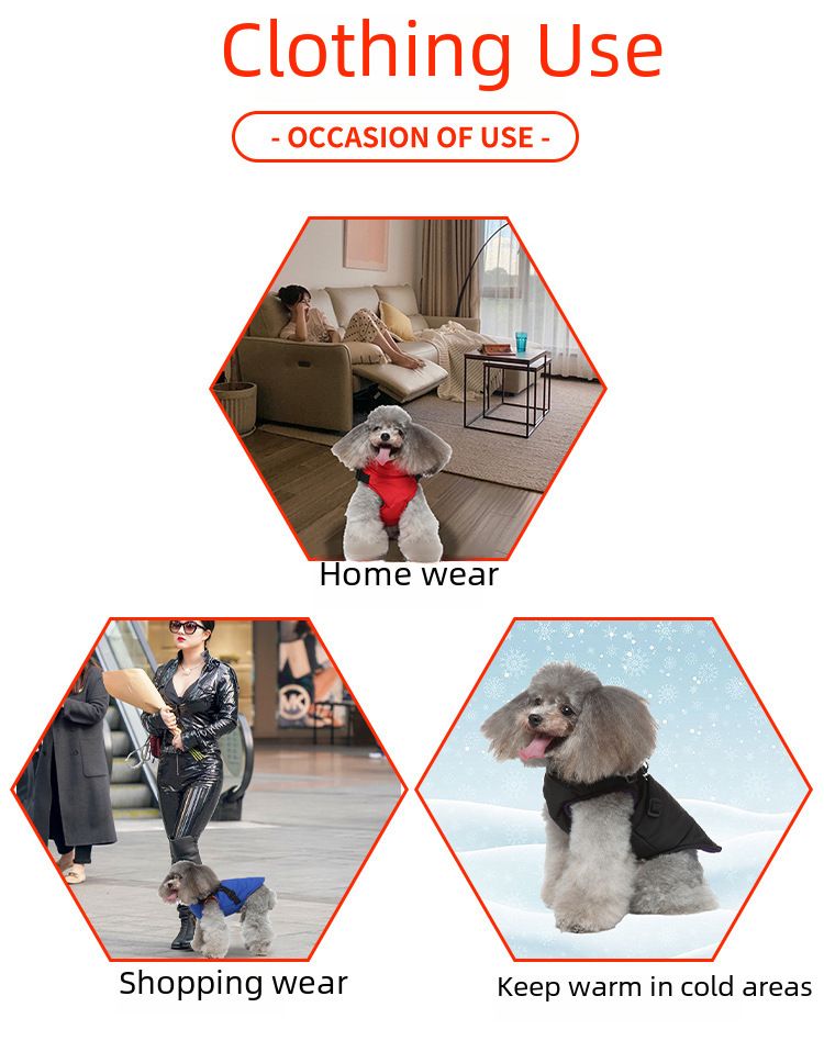 Kräiz-Grenz waarm verkafen Hond Këscht Riem Wanterjacket Koteng gepolstert Mantel Hausdéier Këscht zréck Hond Kleeder Zipper Déier Kleeder_voghion.com