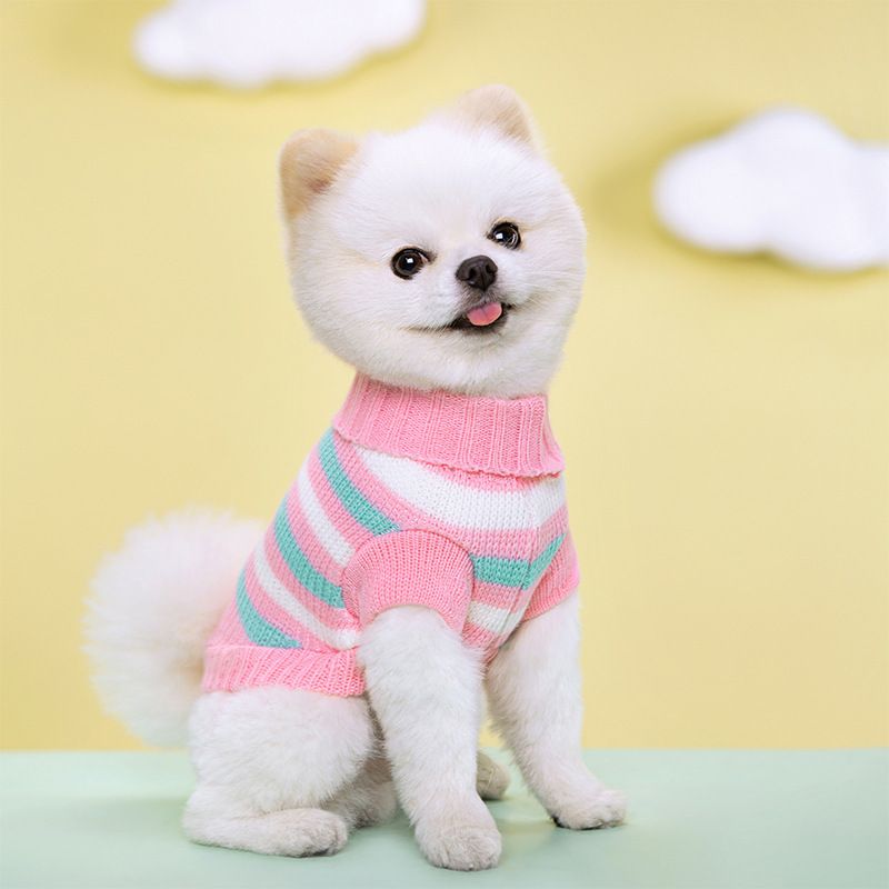 Pull rayé chaud tricoté à deux pattes pour petit chien, vêtement pour chiot, automne et hiver_voghion.com