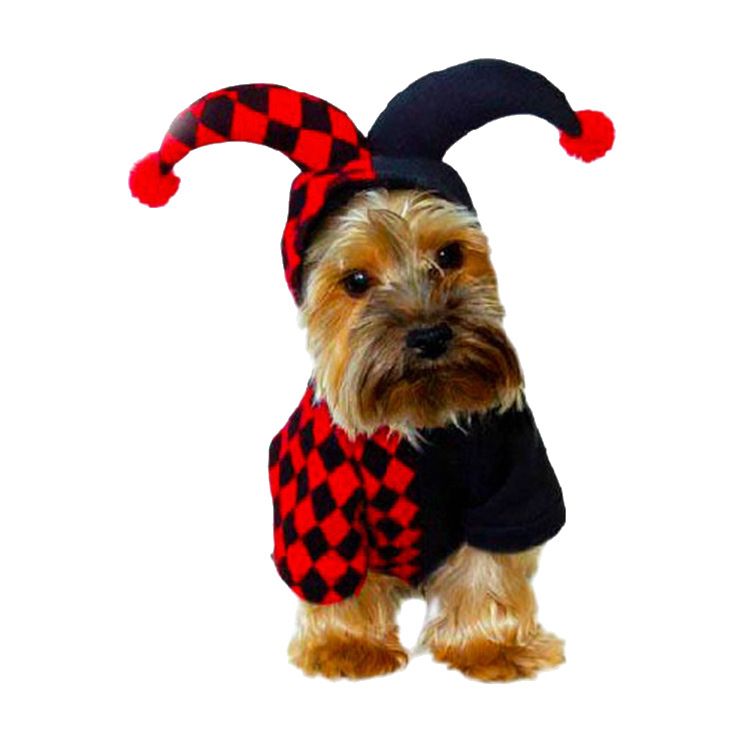 Costume da clown per animali domestici di Halloween, per gatti e cani, vestiti per cani di peluche per autunno e inverno_voghion.com