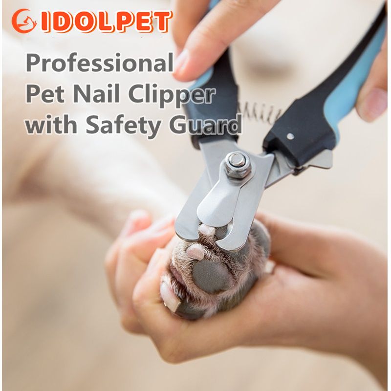 Anipaw Stainless Steel Claw Clippers By PawParty Store_voghion.com