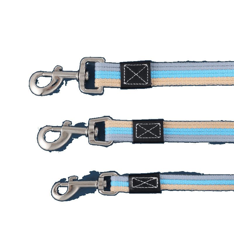 Pet Canvas Walking Professional Training Medium Household Wear-resistant Extended Dog Leash_voghion.com